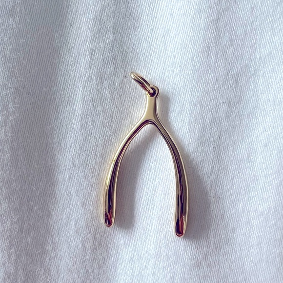 Stella & Dot good wishbone charm - new in box. - Picture 3 of 4